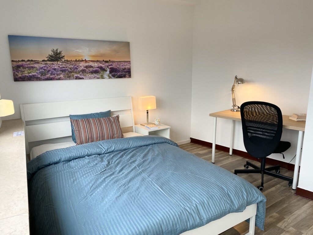Furnished double bedroom (C) – Brand new flatshare | Gare, 1, rue de Bonnevoie - 'VERMEER'-1